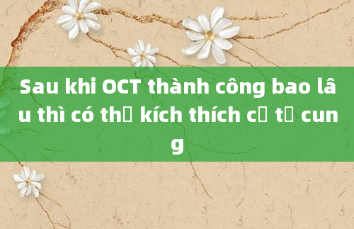 Sau khi OCT thành công bao lâu thì có thể kích thích cổ tử cung