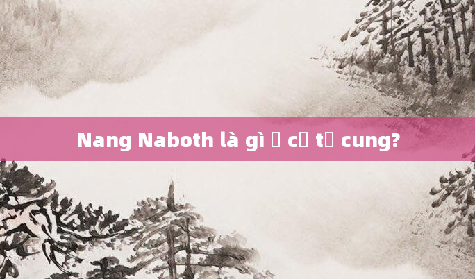 Nang Naboth là gì ở cổ tử cung?