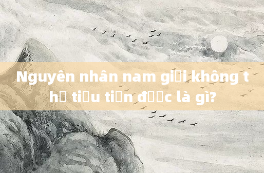 Nguyên nhân nam giới không thể tiểu tiện được là gì?