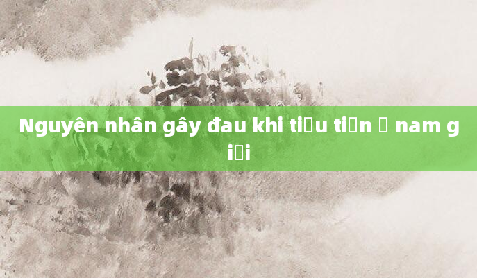 Nguyên nhân gây đau khi tiểu tiện ở nam giới