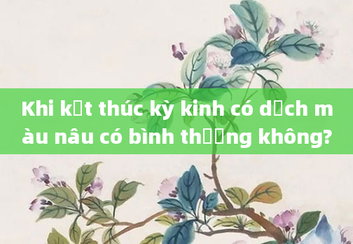 Khi kết thúc kỳ kinh có dịch màu nâu có bình thường không?
