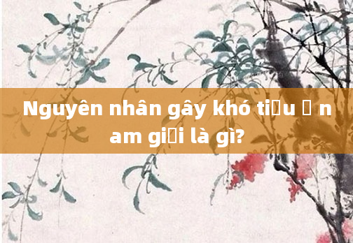 Nguyên nhân gây khó tiểu ở nam giới là gì?