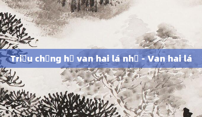 Triệu chứng hở van hai lá nhẹ - Van hai lá