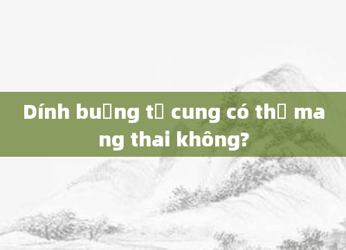Dính buồng tử cung có thể mang thai không?