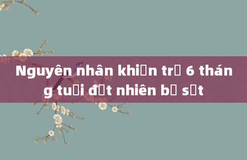 Nguyên nhân khiến trẻ 6 tháng tuổi đột nhiên bị sốt