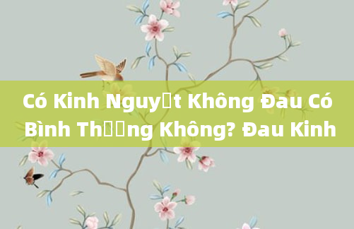 Có Kinh Nguyệt Không Đau Có Bình Thường Không? Đau Kinh