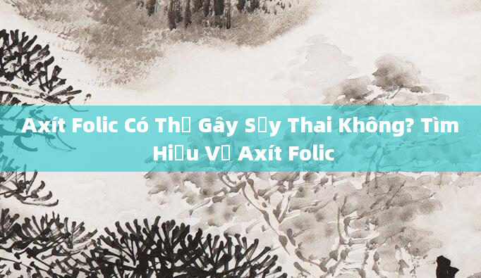Axít Folic Có Thể Gây Sảy Thai Không? Tìm Hiểu Về Axít Folic