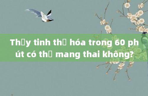 Thủy tinh thể hóa trong 60 phút có thể mang thai không?