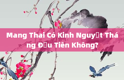 Mang Thai Có Kinh Nguyệt Tháng Đầu Tiên Không?