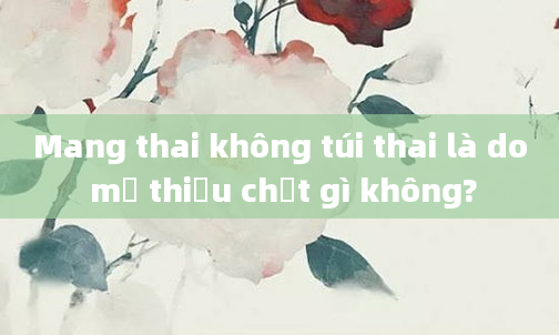Mang thai không túi thai là do mẹ thiếu chất gì không?