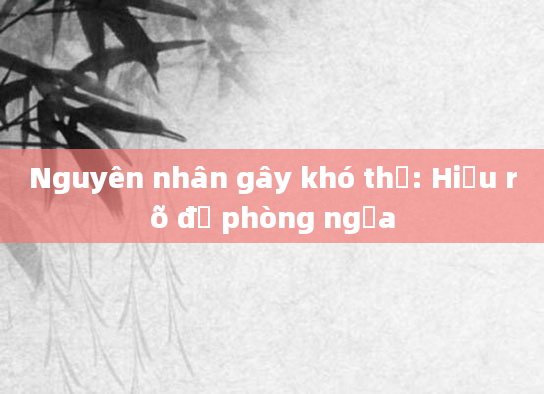 Nguyên nhân gây khó thở: Hiểu rõ để phòng ngừa
