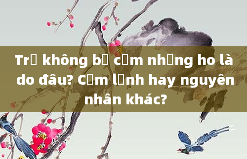 Trẻ không bị cảm nhưng ho là do đâu? Cảm lạnh hay nguyên nhân khác?