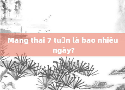 Mang thai 7 tuần là bao nhiêu ngày?