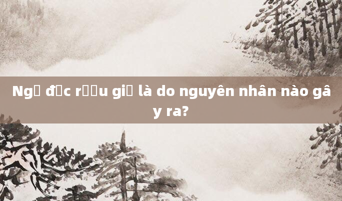 Ngộ độc rượu giả là do nguyên nhân nào gây ra?
