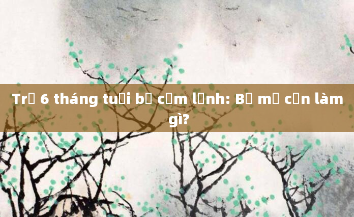 Trẻ 6 tháng tuổi bị cảm lạnh: Bố mẹ cần làm gì?