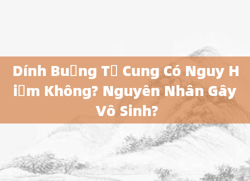 Dính Buồng Tử Cung Có Nguy Hiểm Không? Nguyên Nhân Gây Vô Sinh?