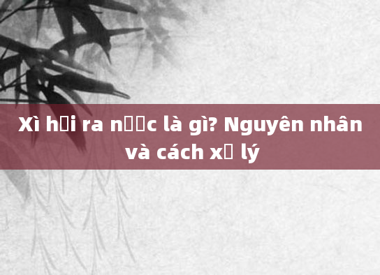 Xì hơi ra nước là gì? Nguyên nhân và cách xử lý