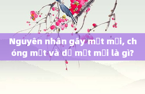 Nguyên nhân gây mệt mỏi, chóng mặt và dễ mệt mỏi là gì?