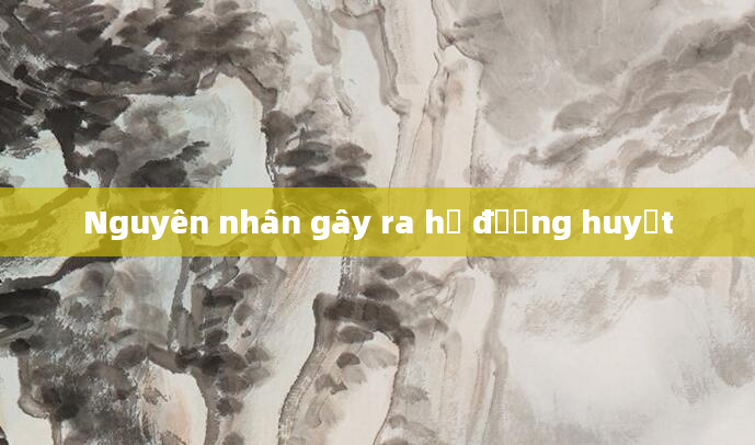 Nguyên nhân gây ra hạ đường huyết