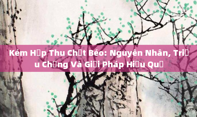 Kém Hấp Thu Chất Béo: Nguyên Nhân, Triệu Chứng Và Giải Pháp Hiệu Quả