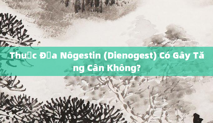 Thuốc Địa Nôgestin (Dienogest) Có Gây Tăng Cân Không?