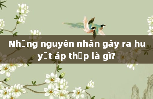Những nguyên nhân gây ra huyết áp thấp là gì?