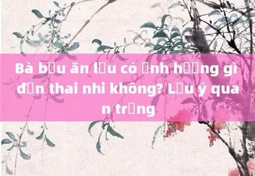 Bà bầu ăn lẩu có ảnh hưởng gì đến thai nhi không? Lưu ý quan trọng
