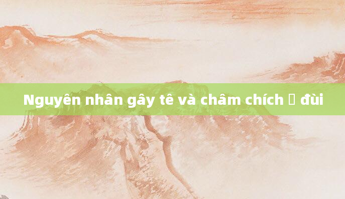 Nguyên nhân gây tê và châm chích ở đùi