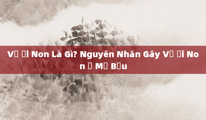 Vỡ Ối Non Là Gì? Nguyên Nhân Gây Vỡ Ối Non Ở Mẹ Bầu