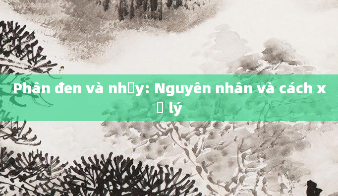 Phân đen và nhầy: Nguyên nhân và cách xử lý