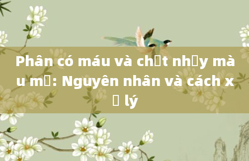 Phân có máu và chất nhầy màu mủ: Nguyên nhân và cách xử lý