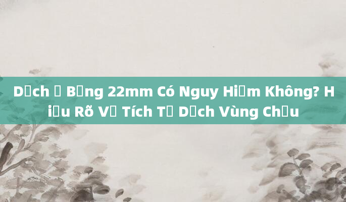 Dịch Ổ Bụng 22mm Có Nguy Hiểm Không? Hiểu Rõ Về Tích Tụ Dịch Vùng Chậu