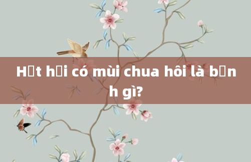 Hắt hơi có mùi chua hôi là bệnh gì?