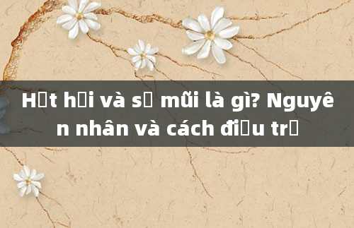Hắt hơi và sổ mũi là gì? Nguyên nhân và cách điều trị