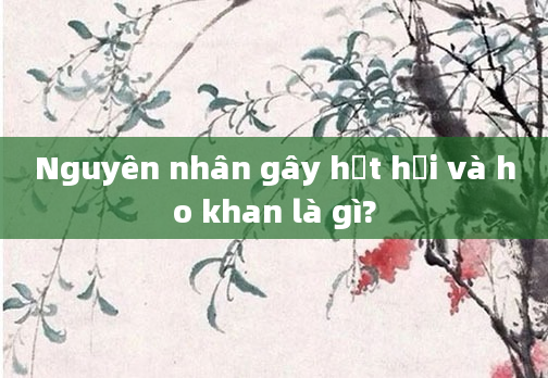 Nguyên nhân gây hắt hơi và ho khan là gì?
