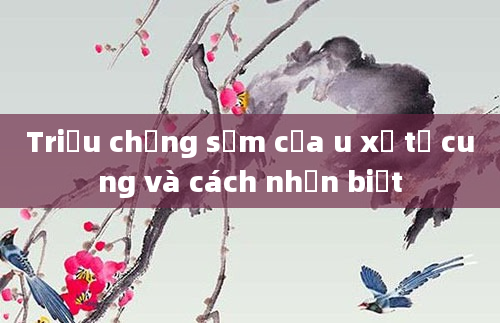 Triệu chứng sớm của u xơ tử cung và cách nhận biết