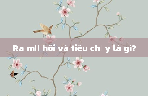 Ra mồ hôi và tiêu chảy là gì?