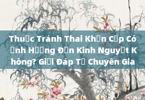 Thuốc Tránh Thai Khẩn Cấp Có Ảnh Hưởng Đến Kinh Nguyệt Không? Giải Đáp Từ Chuyên Gia