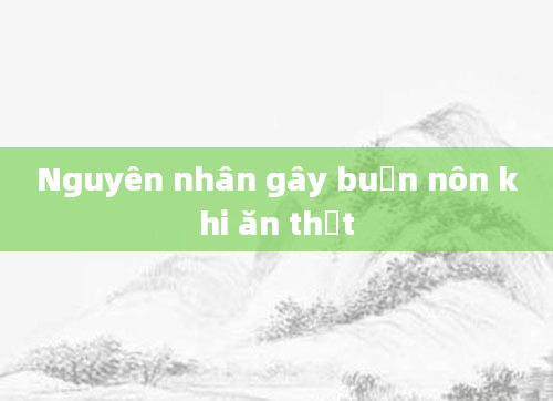 Nguyên nhân gây buồn nôn khi ăn thịt