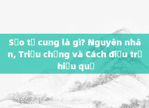 Sẹo tử cung là gì? Nguyên nhân, Triệu chứng và Cách điều trị hiệu quả