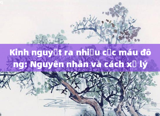 Kinh nguyệt ra nhiều cục máu đông: Nguyên nhân và cách xử lý