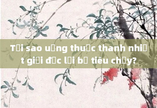 Tại sao uống thuốc thanh nhiệt giải độc lại bị tiêu chảy?