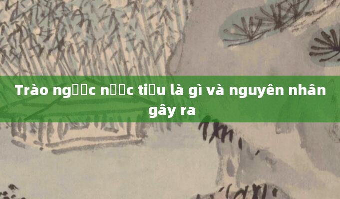 Trào ngược nước tiểu là gì và nguyên nhân gây ra