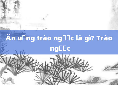 Ăn uống trào ngược là gì? Trào ngược