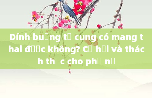 Dính buồng tử cung có mang thai được không? Cơ hội và thách thức cho phụ nữ