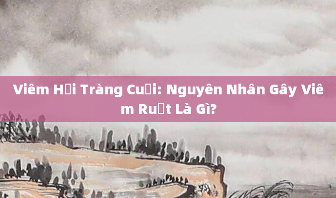Viêm Hồi Tràng Cuối: Nguyên Nhân Gây Viêm Ruột Là Gì?