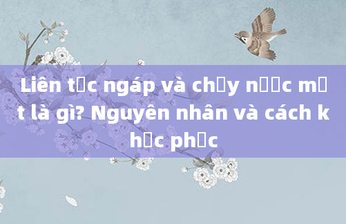 Liên tục ngáp và chảy nước mắt là gì? Nguyên nhân và cách khắc phục