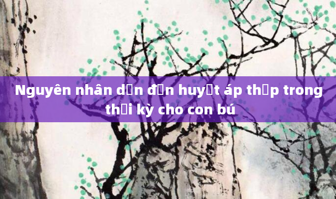 Nguyên nhân dẫn đến huyết áp thấp trong thời kỳ cho con bú