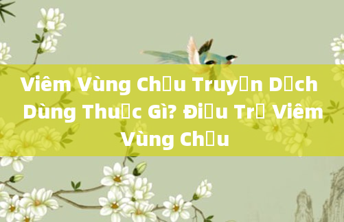 Viêm Vùng Chậu Truyền Dịch Dùng Thuốc Gì? Điều Trị Viêm Vùng Chậu