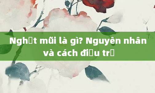 Nghẹt mũi là gì? Nguyên nhân và cách điều trị
